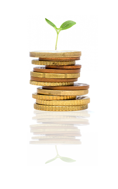 Healthcare Marketing for Sustainable Growth coins-growing